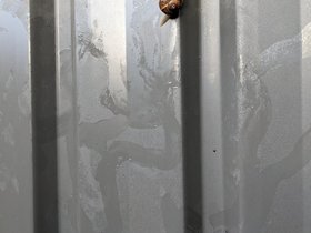 2022-11-19 snails.jpg